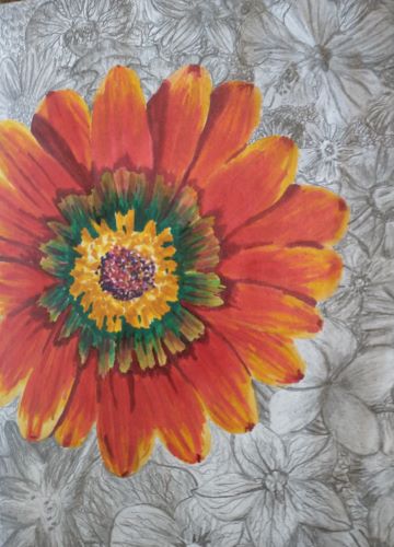 Showcase selection: Art of flower