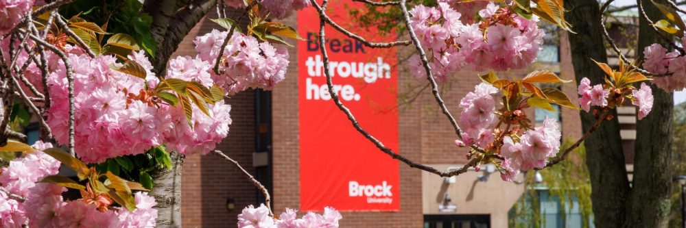 Brock University's view from the Jubilee Tree 