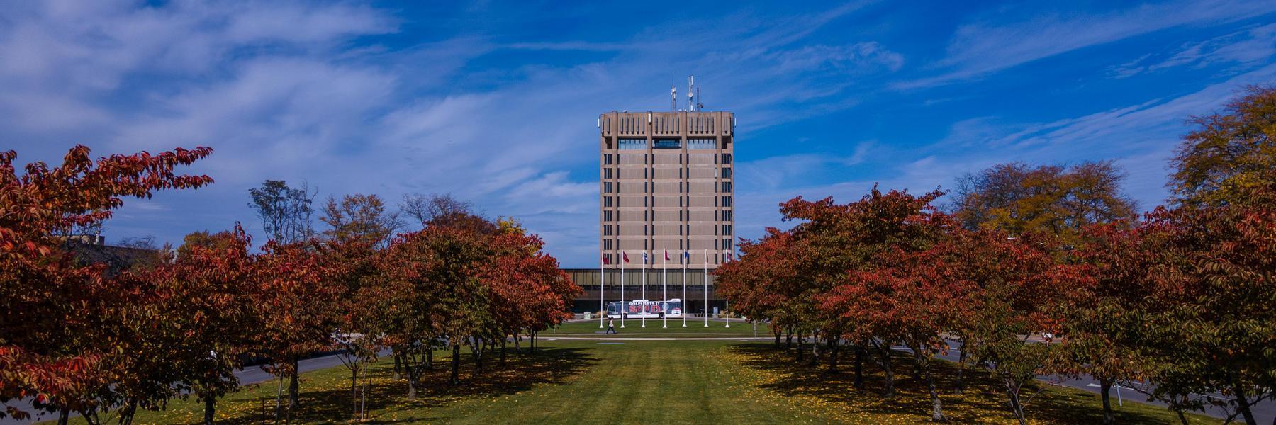 Brock University, Schmon tower fall view