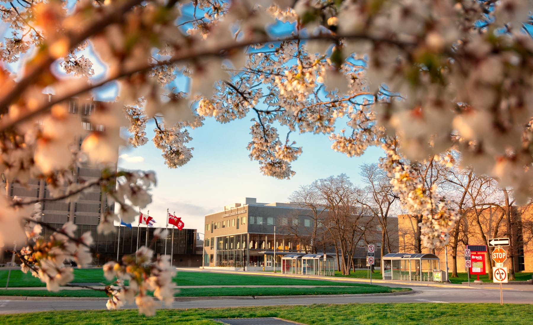 Brock University autumn campus 