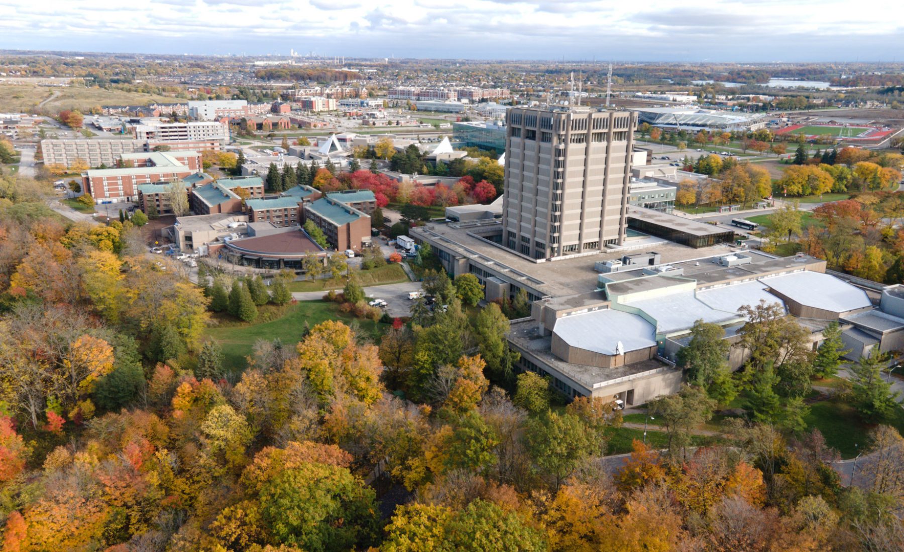 Aerial view of the Schmon tower surrounded by autumn leaves 