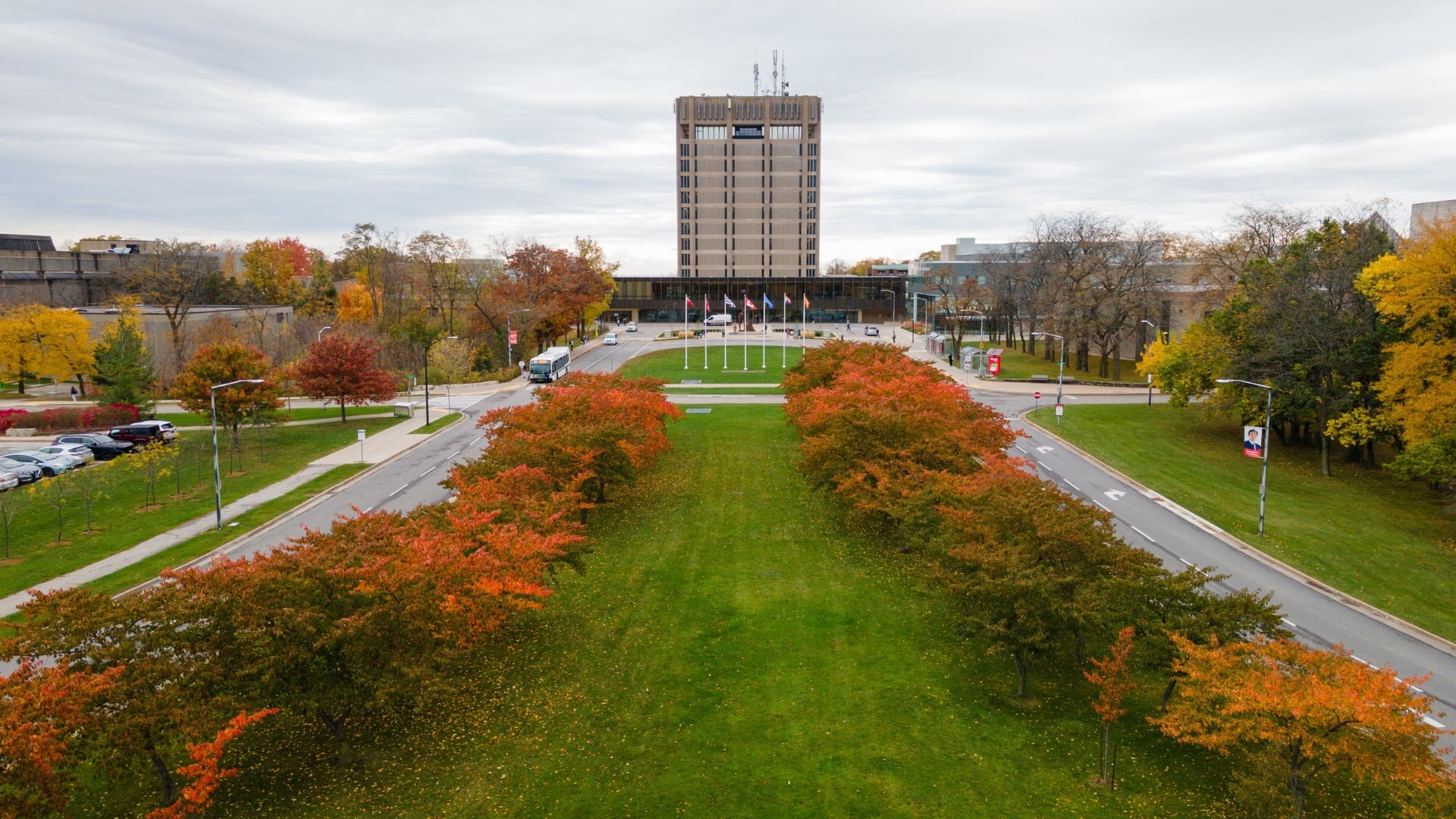 Schmon Tower view in fall 