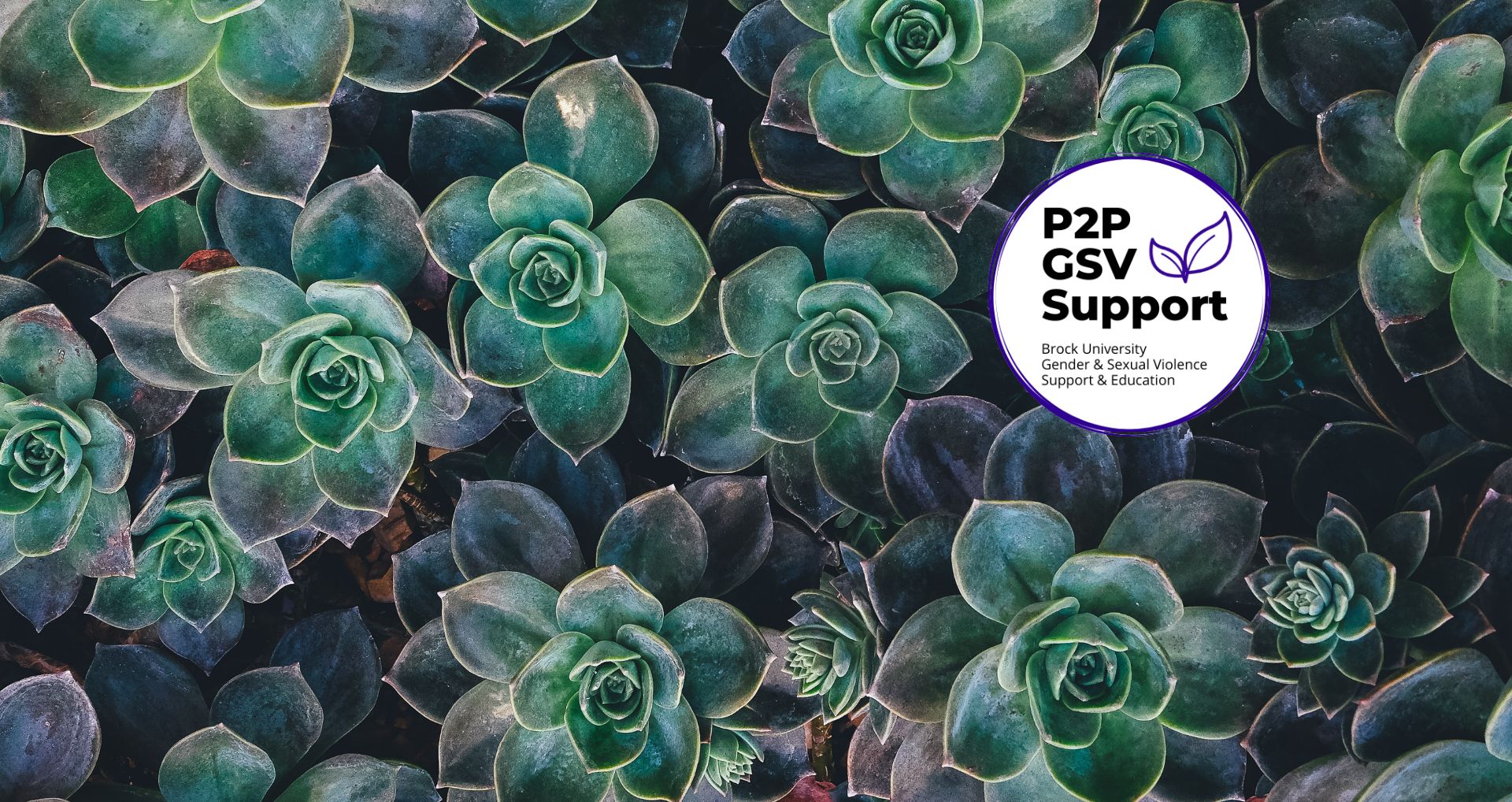 P2P Support Slide 
