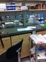 A snap shot of the wet lab in Carins 431, Human Sexuality Lab