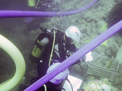 2 scuba divers writing on tablet underwater looking at rocks in a crate