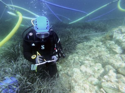 scuba diver writing on tablet underwater