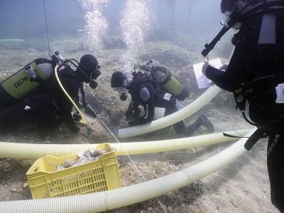 3 scuba divers surveying rock with a yellow crate of rocks