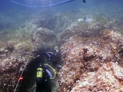 2 scuba divers surveying rock