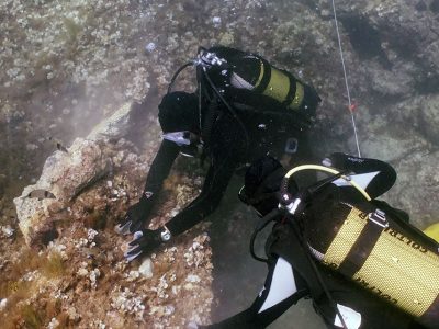 2 scuba divers surveying rock