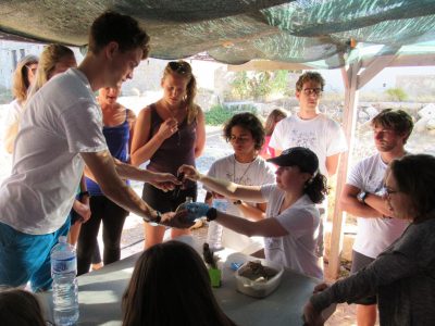 Marzamemi team of students looking at artifacts