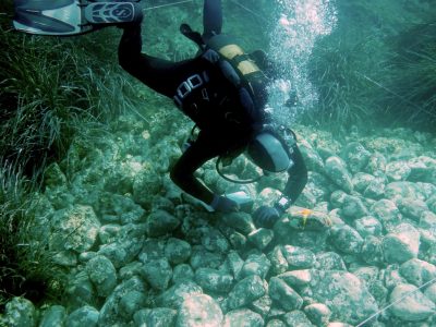 scuba diver surveying bed of rocks