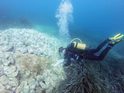 scuba diver with a camera bar filming bed of rocks