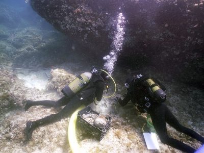 2 scuba divers documenting area underwater with a crate of stones