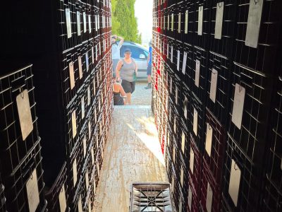 internal view of a truck stacked with crates