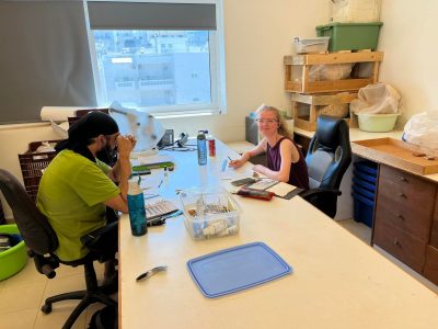 Sukhmeet Dhur and Kaylee Janzen working in the Ayios Nikolaos Museum lab to catalog the ceramic material from Khavania