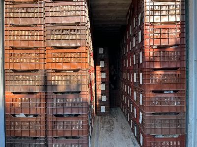 crates inside of a shipping container