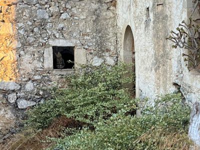 ancient outer house wall with a window and a door Gournia in