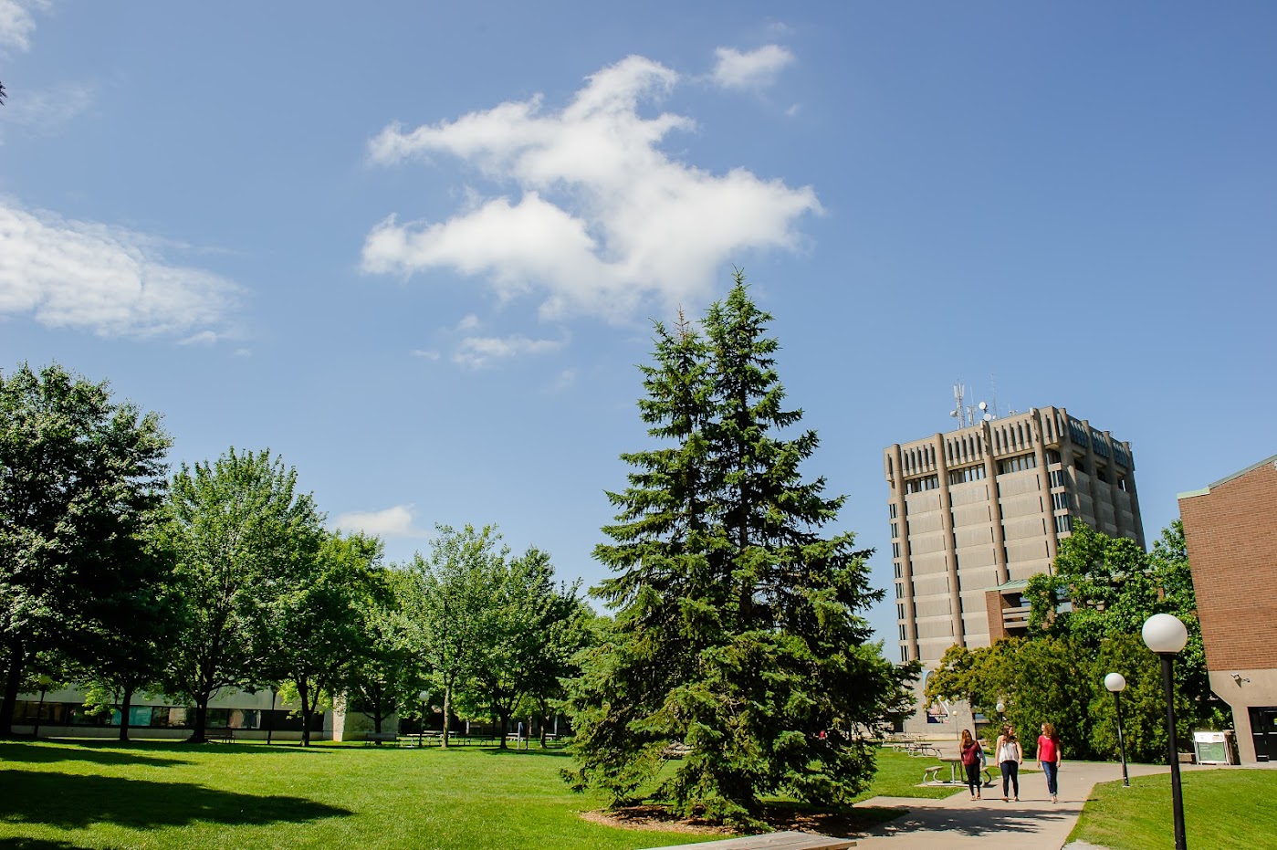 Brock campus with Schmon Tower and evergreen tree with 3 students walking on a oath 