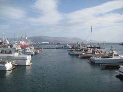 Reykjavik harbour
