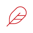 Celebrate-Icon