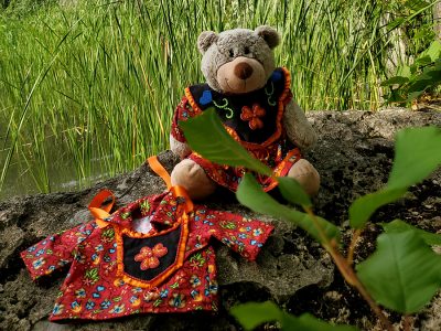 Spirit Bear Reconciliation Ambearrister on rock in a pond inlet