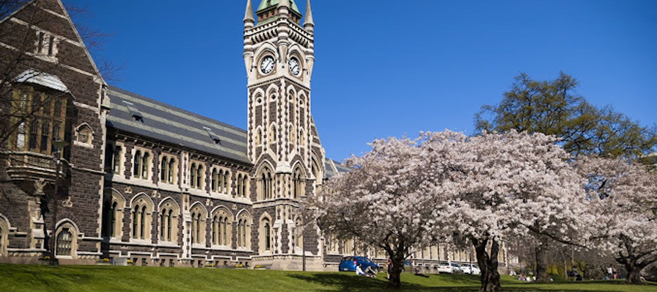 A building with a clock tower surrounded by budding trees on a sunny day at the University of Otago in New Zealand.