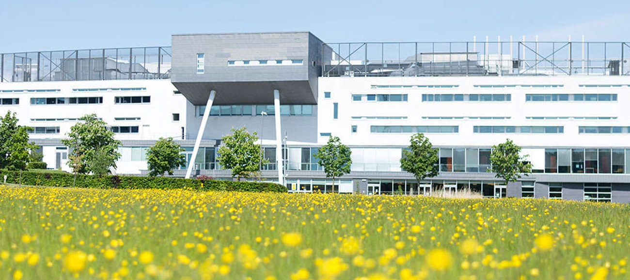 A modern white building with large windows at Queen Margaret University stands behind a field of yellow flowers on a bright, sunny day.
