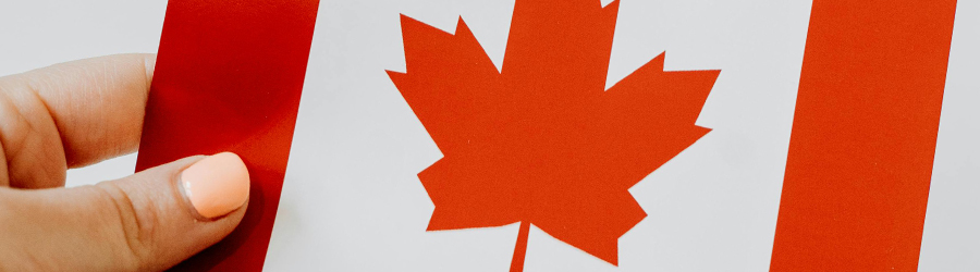 A hand holding a small paper Canadian flag.