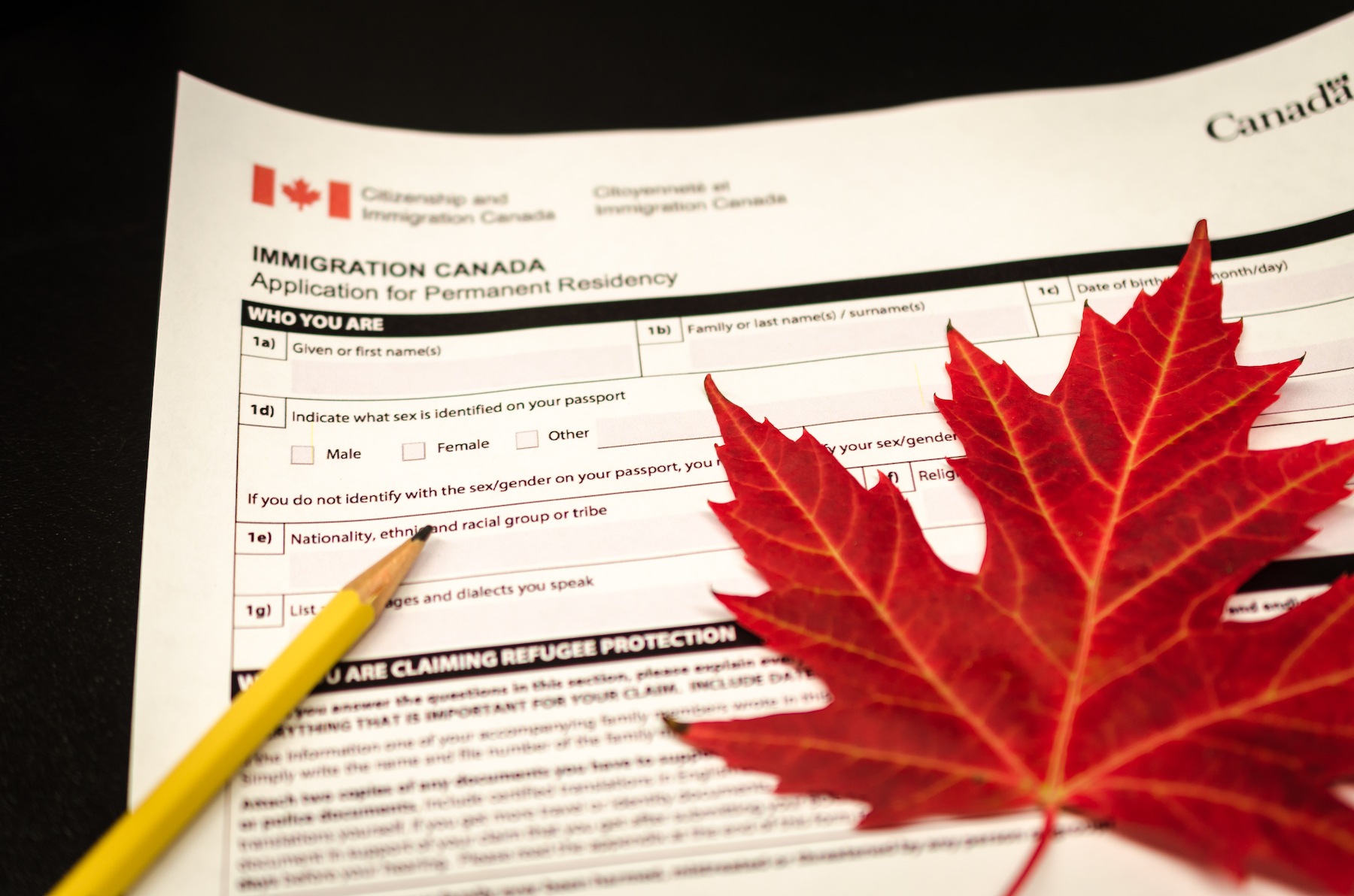 Immigration Advising International