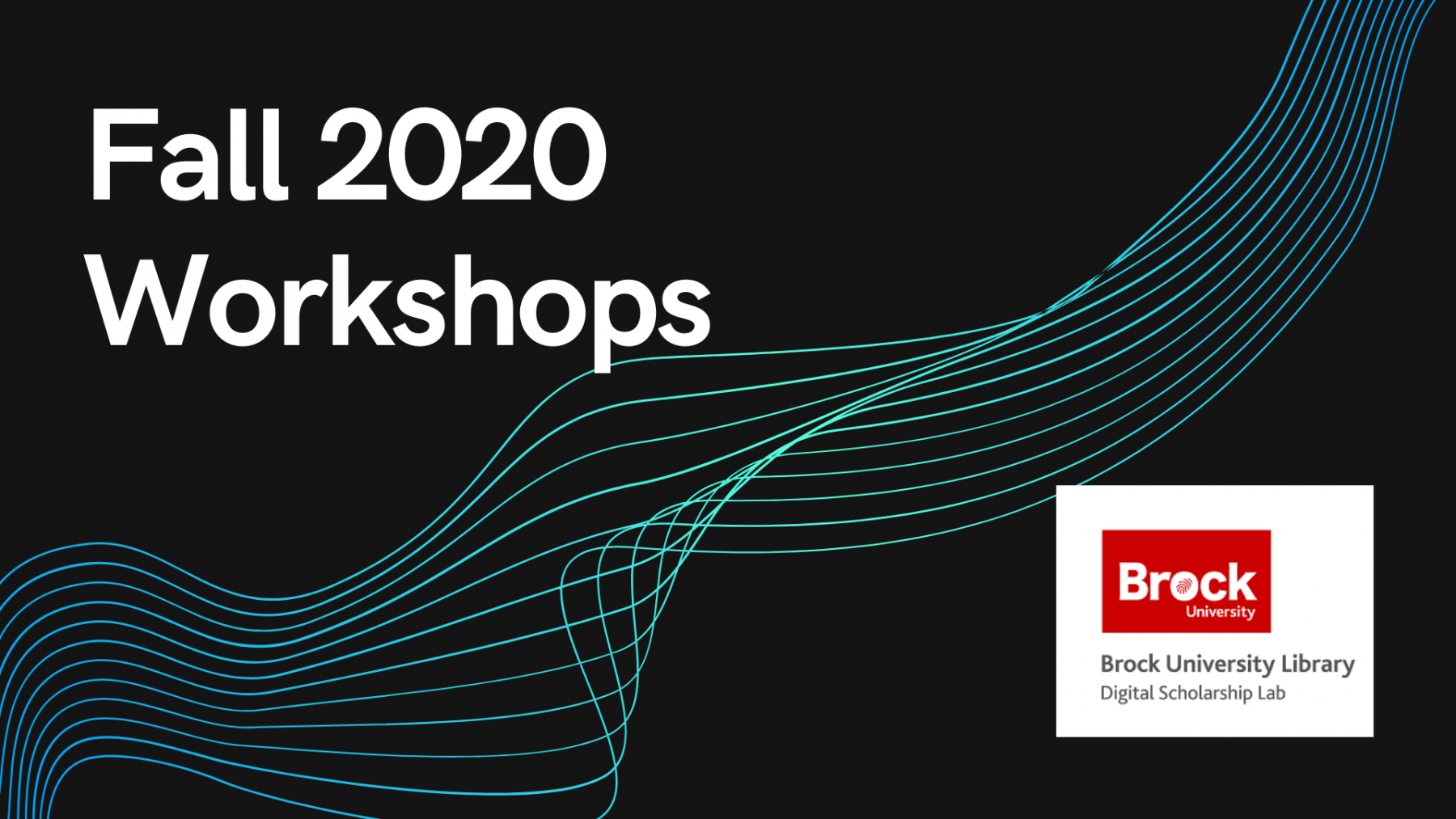 DSL 2020 Workshops