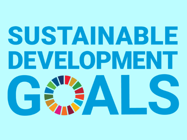 Sustainable Development Goals stylized logo