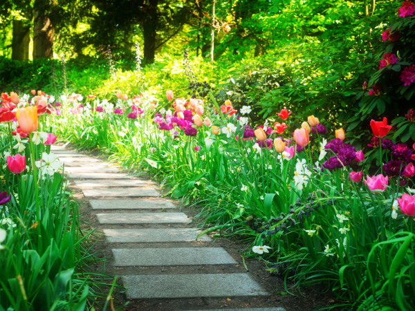 A pathway wends its way through a spring garden