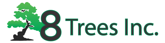 8Trees Logo