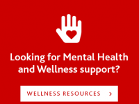 Mental Health and Wellness Support