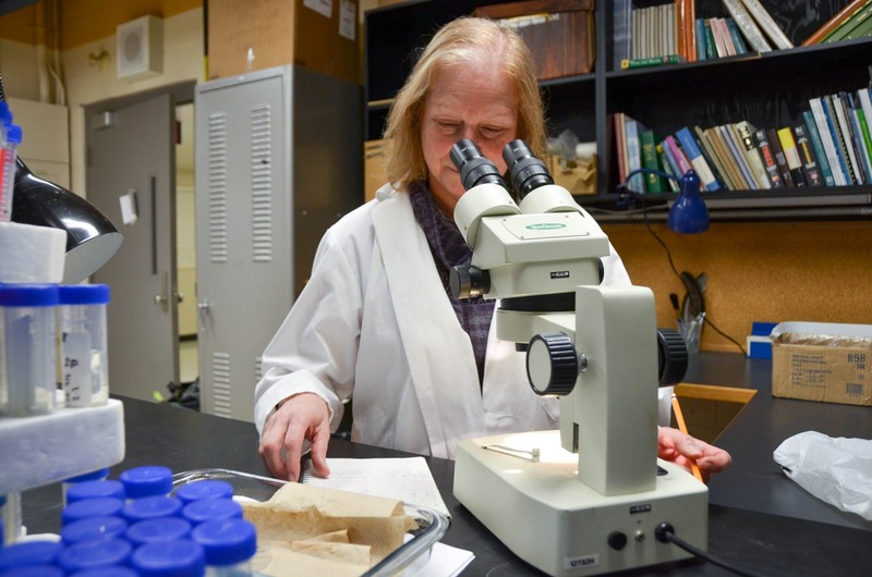Liette Vasseur using microscope in lab 