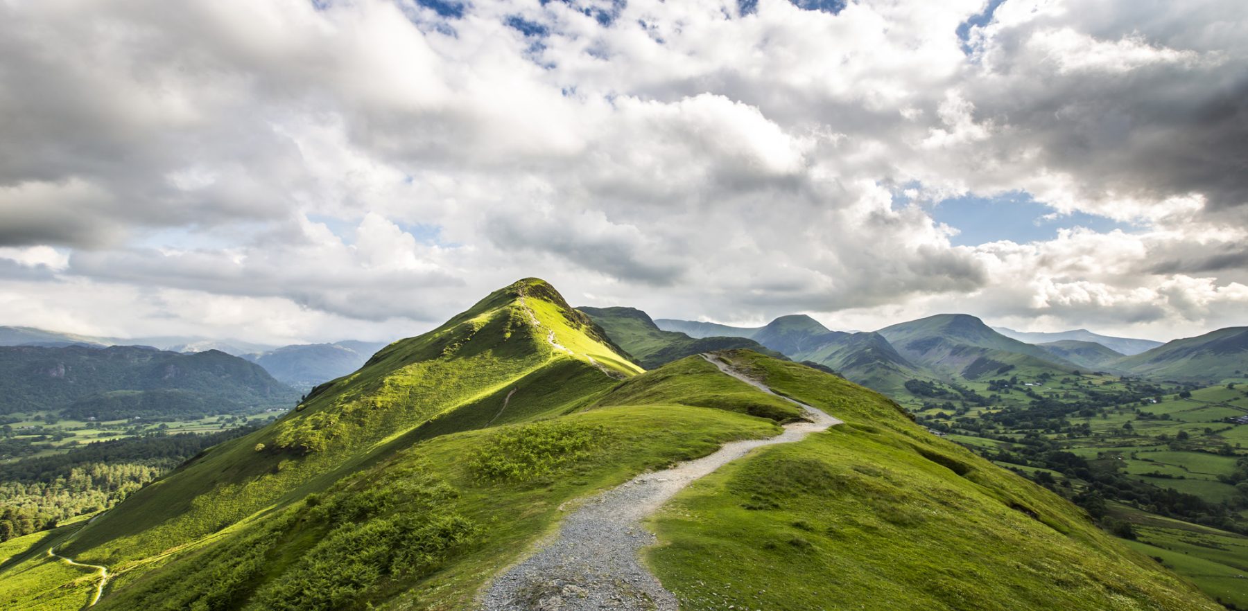 swiss hilltops lush green grass and pathway
