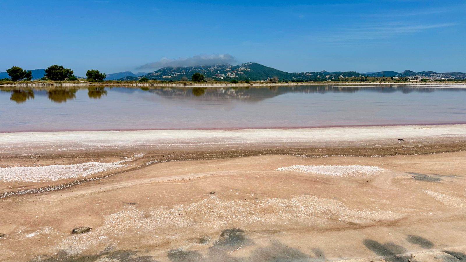 Photograph of salt fields.