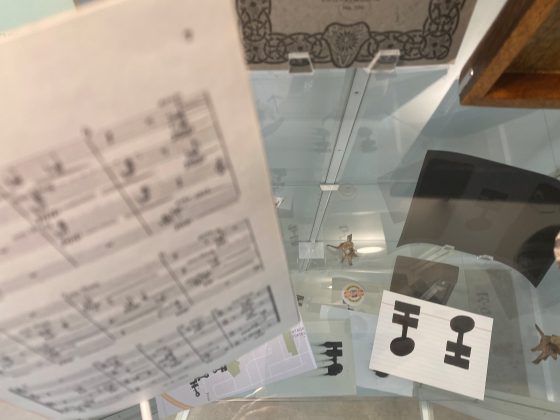 Photo of cabinet de curiosites from the top, different levels of the display are visible.