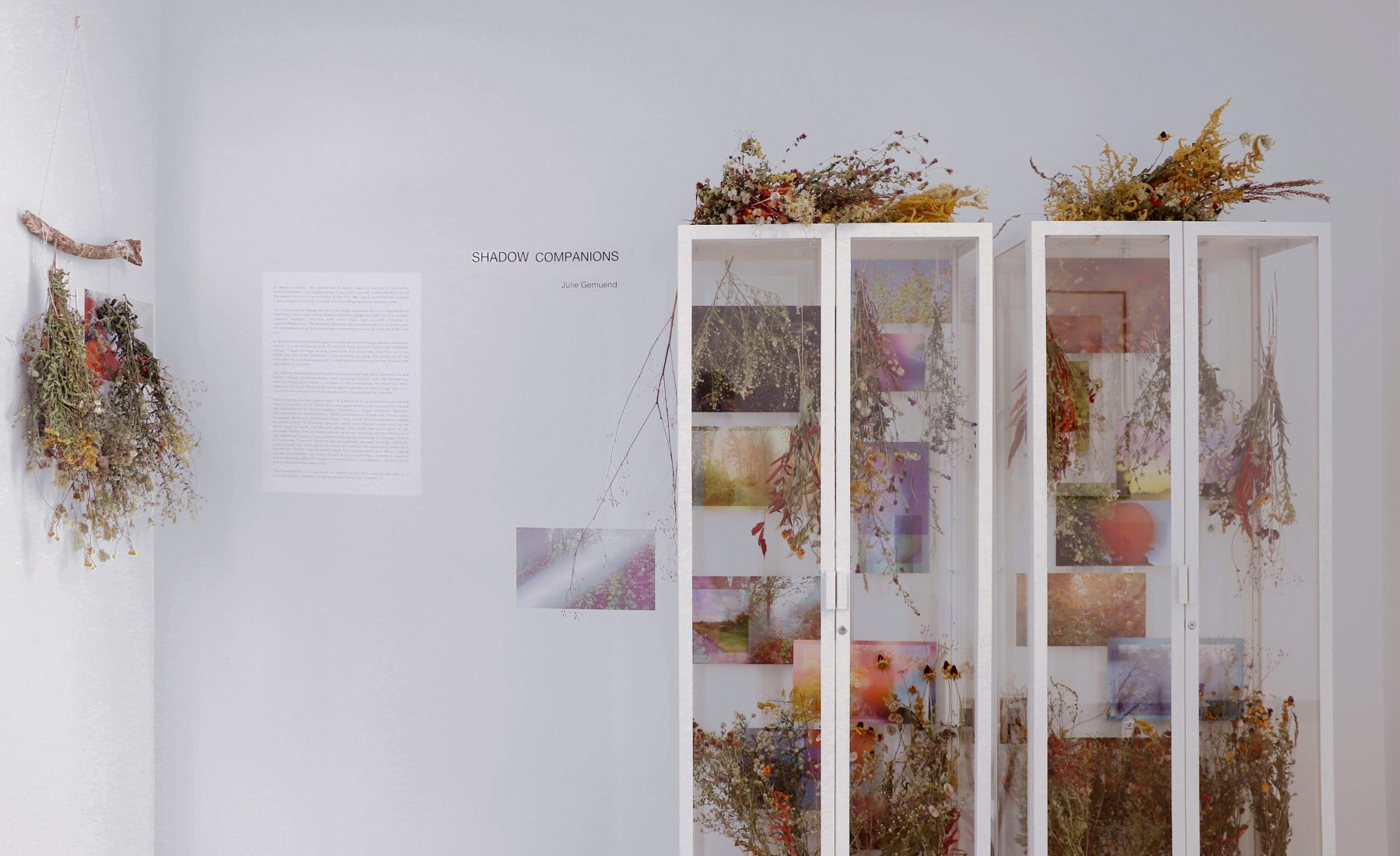 Photograph of Julie Gemuend's exhibit 