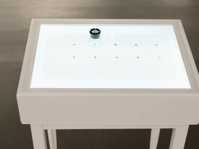 light table with small objects and a loop