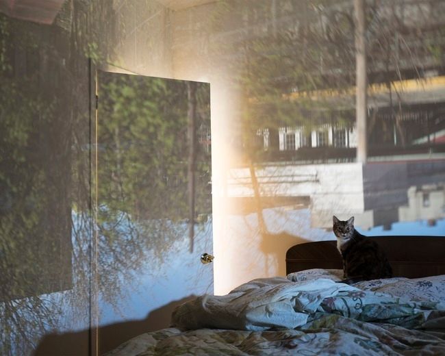 Artwork of falls, and screen