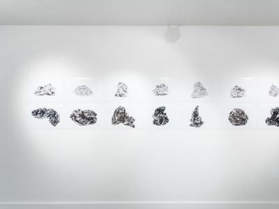 group of 12 drawings hanging on gallery wall