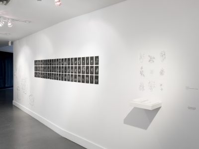 group of small photos hanging on gallery wall