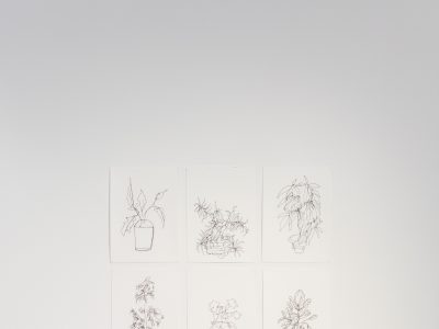 group of 9 drawings and a shelf hanging on gallery wall