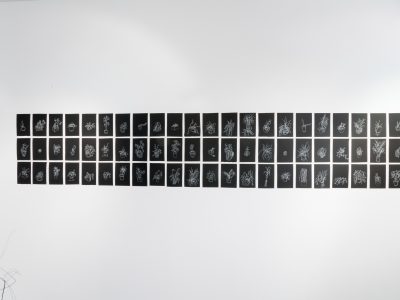 group of small black and white prints hanging on gallery wall
