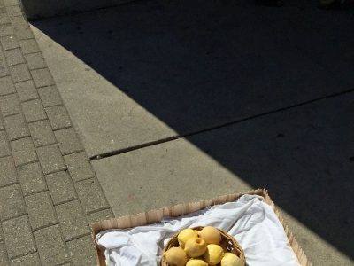 2017_VISA_Concrete-Clouds_Melting Lemons by Madison McFayden - photo by Madison McFayden