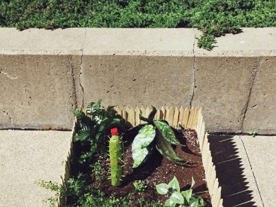 2017_VISA_Concrete Clouds_my fake plants died because I did not pretend to water them by Jill Newman - photo by Jill Newman