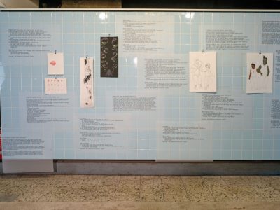Geographies en formation Die Baeckerei, display
