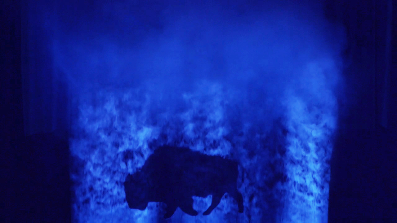 Donna Szoke Photo of buffalo silhouette in blue smoke