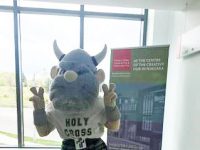 Holy Cross secondary school viking mascot